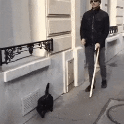 60a8e513-it-s-why-blind-people-prefer-dogs.gif